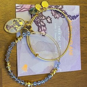 Alex and Ani Bracelet Set (Tree of Life)